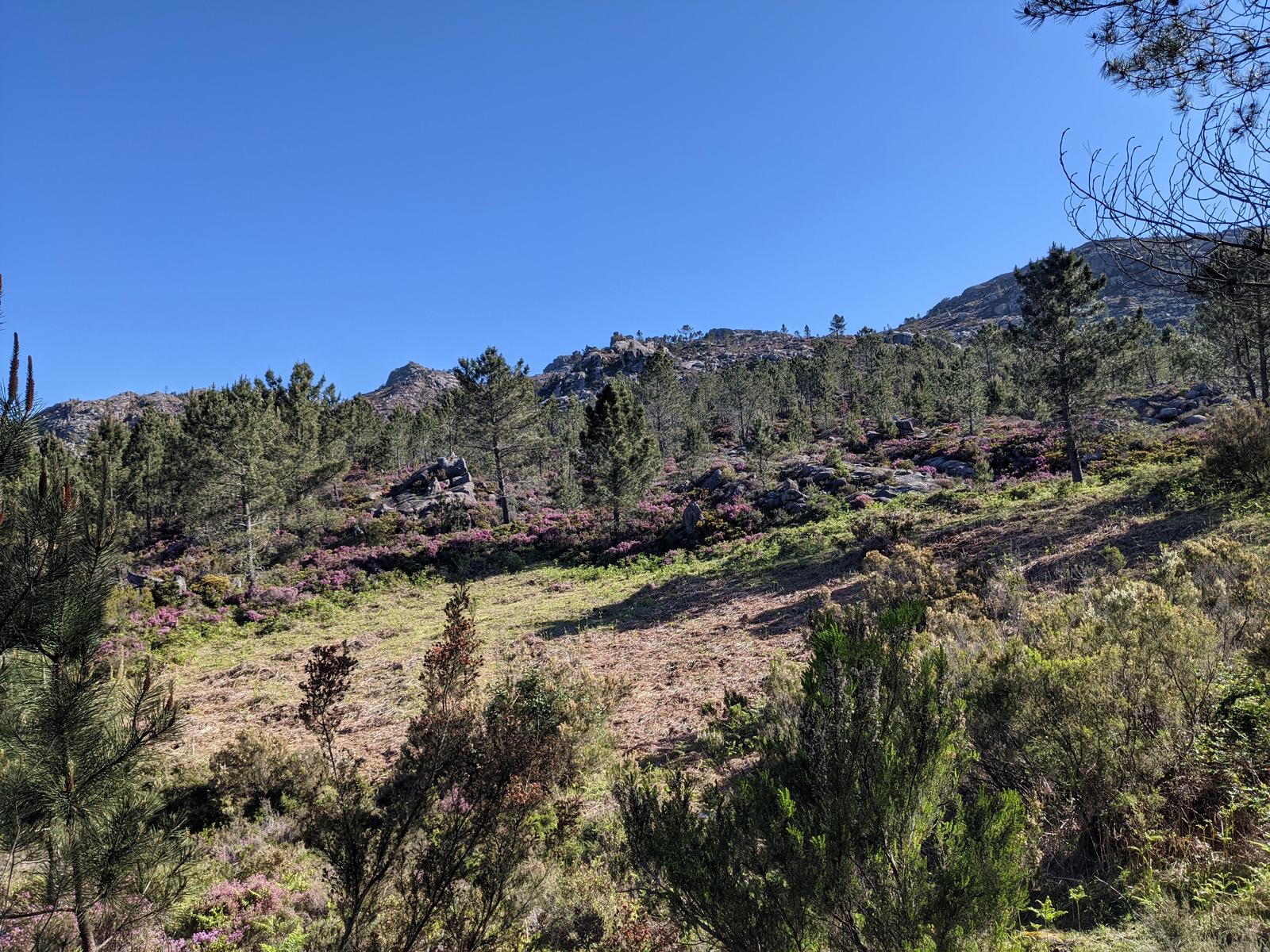 Pedra Bela Hike