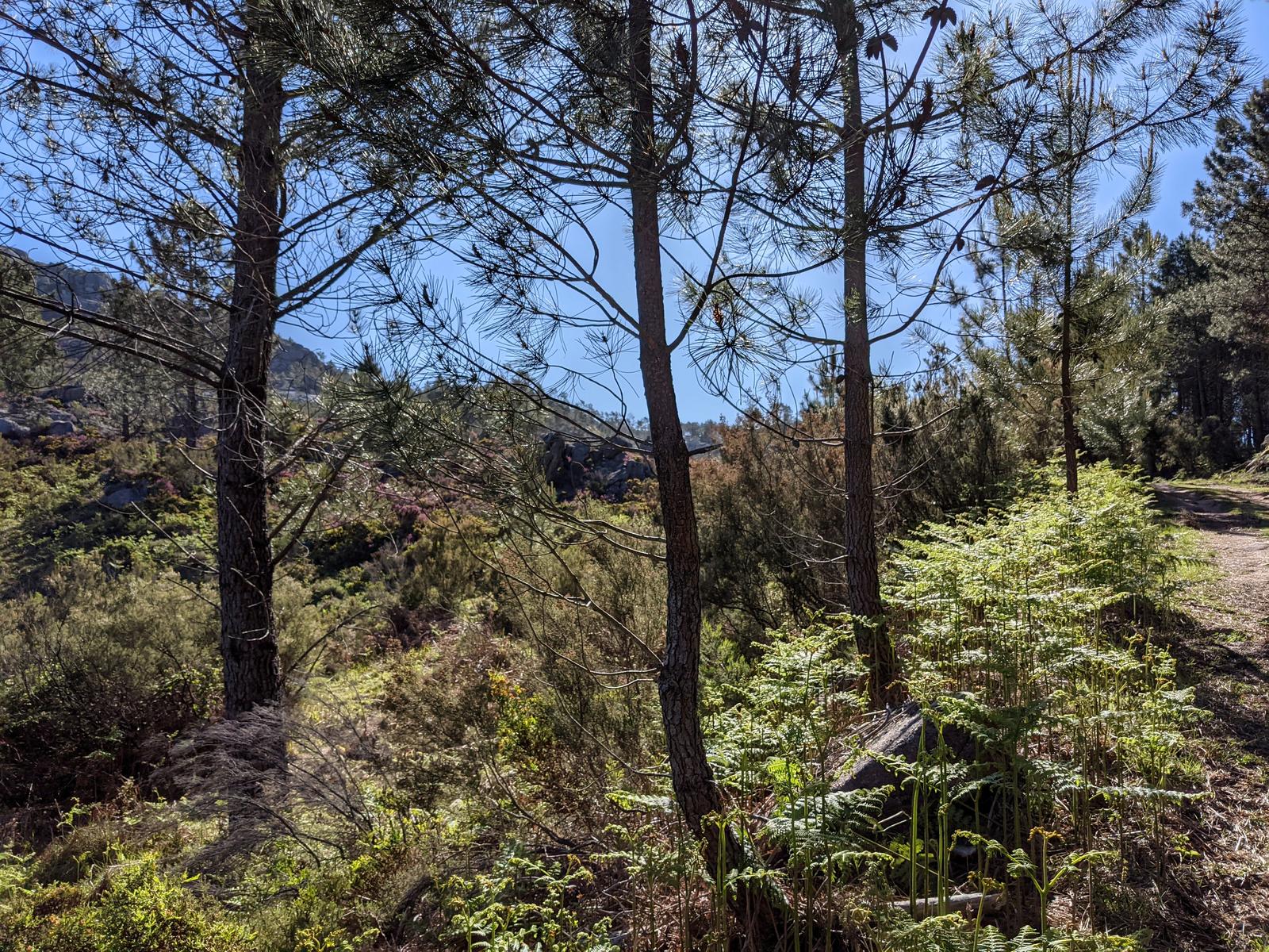 Pedra Bela Hike