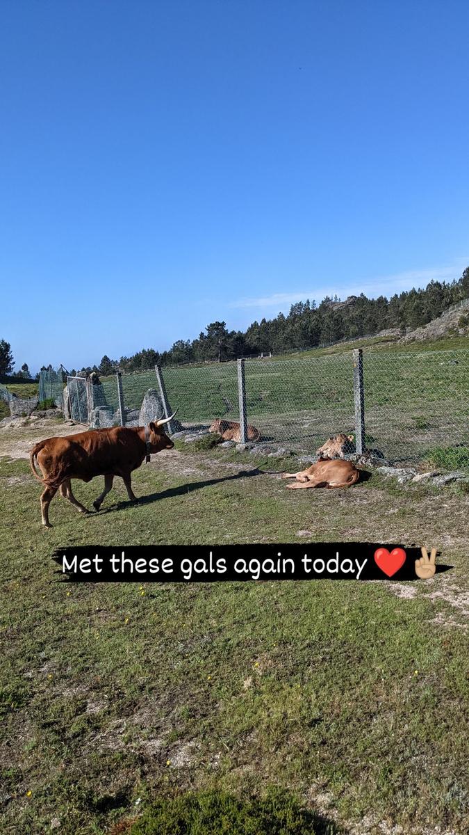 Cascata do Arado Hike