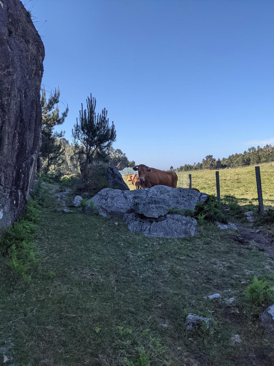 Cascata do Arado Hike