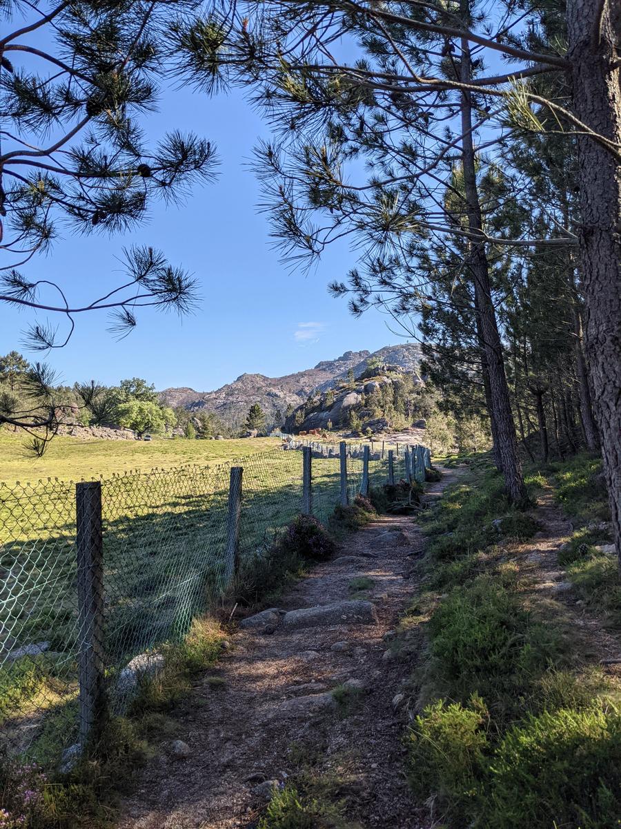 Cascata do Arado Hike
