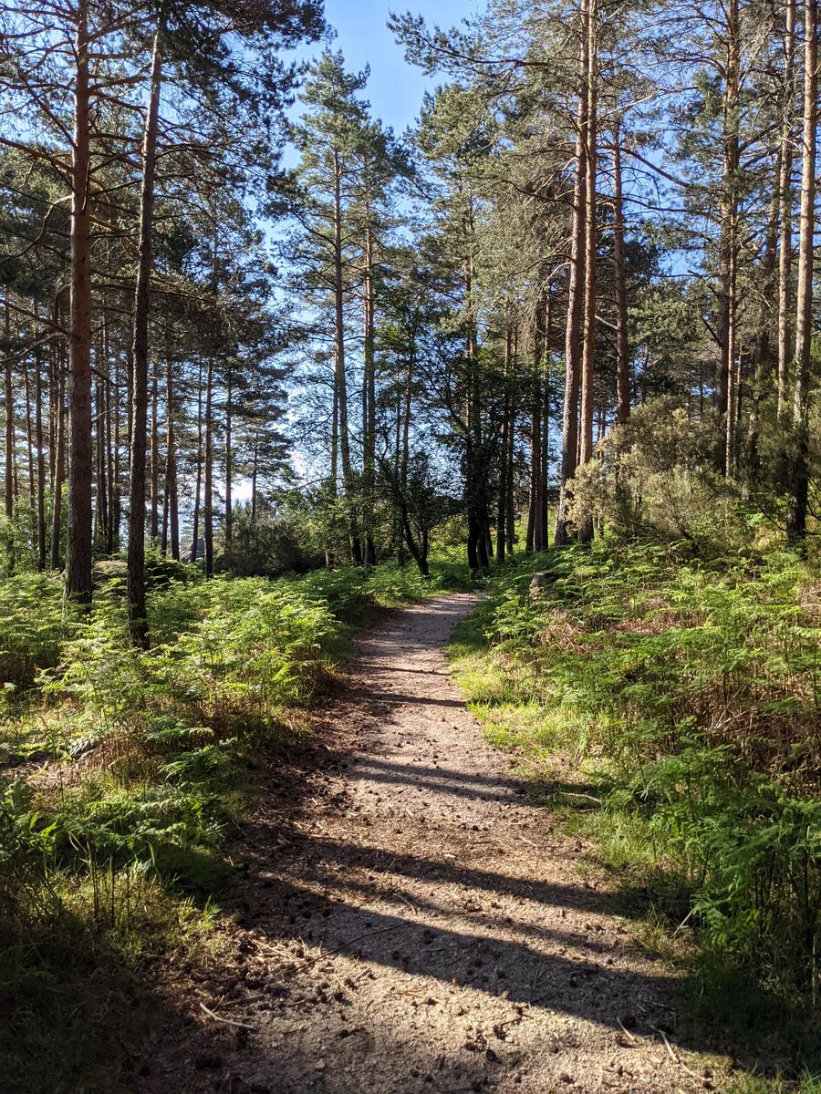 Cascata do Arado Hike