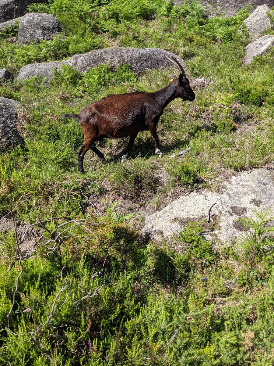 Cascata do Arado Hike