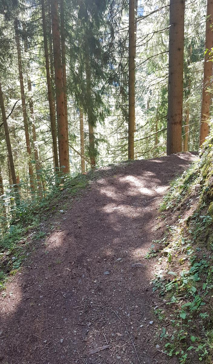 Forest path Vallorcine